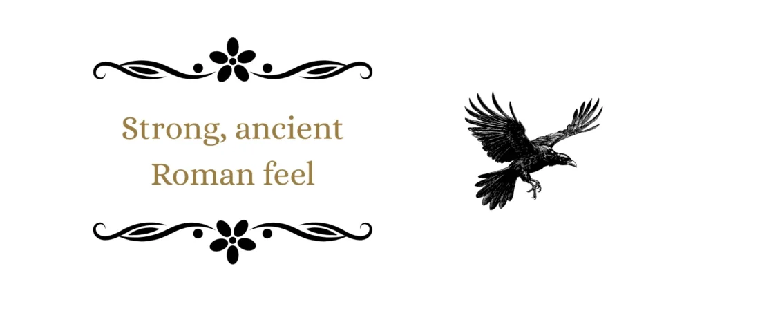 Names That Mean Raven Powerful Baby Names Dark Vibes